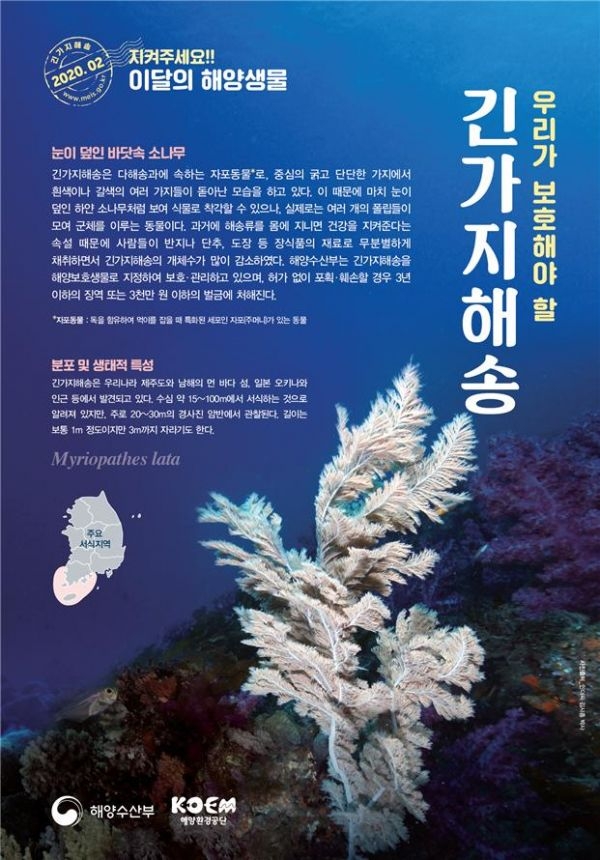 2월 이달의 해양생물 포스터